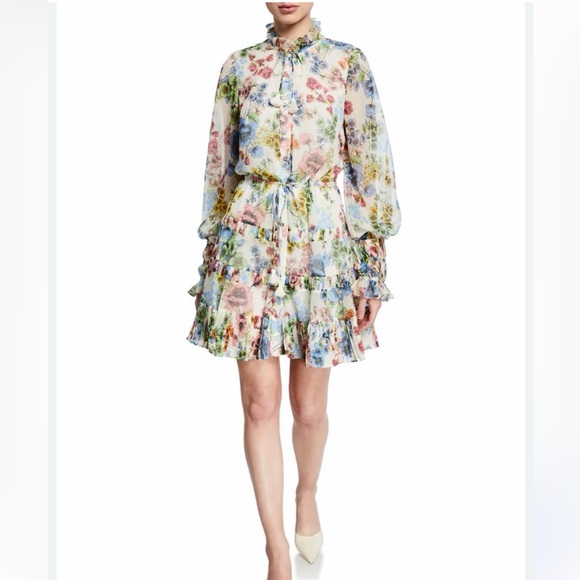 Alexis Jaila Floral Ruffle Mini DressSize XSExcellent Condition